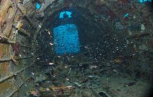 Zdjęcia z wyjazdu na Palau i Truk