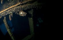 Zdjęcia z wyjazdu na Palau i Truk