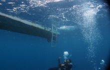 Zdjęcia z wyjazdu na Palau i Truk