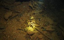 Zdjęcia z wyjazdu na Palau i Truk