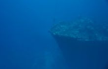 Zdjęcia z wyjazdu na Palau i Truk