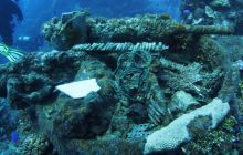 Zdjęcia z wyjazdu na Palau i Truk