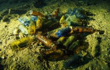 Zdjęcia z wyjazdu na Palau i Truk