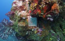 Zdjęcia z wyjazdu na Palau i Truk