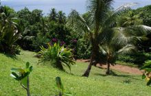 Zdjęcia z wyjazdu na Palau i Truk