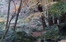 Zdjęcia z wyjazdu na Palau i Truk