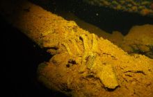 Zdjęcia z wyjazdu na Palau i Truk