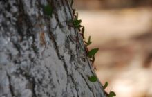 Zdjęcia z wyjazdu do Meksyku