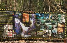 Zdjęcia z wyjazdu do Meksyku