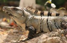 Zdjęcia z wyjazdu do Meksyku