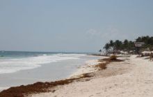 Zdjęcia z wyjazdu do Meksyku