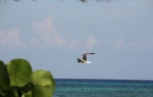 Zdjęcia z wyjazdu do Meksyku