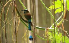 Zdjęcia z wyjazdu do Meksyku