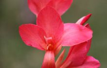 Zdjęcia z wyjazdu do Meksyku