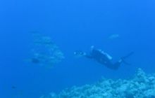 Zdjęcia z wyjazdu Sudan i Dubaj