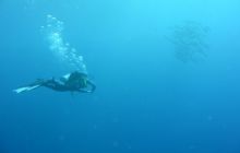 Zdjęcia z wyjazdu Sudan i Dubaj