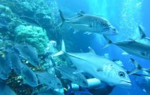 Zdjęcia z wyjazdu Sudan i Dubaj