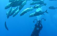 Zdjęcia z wyjazdu Sudan i Dubaj