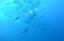 Zdjęcia z wyjazdu Sudan i Dubaj