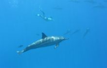 Zdjęcia z wyjazdu Sudan i Dubaj