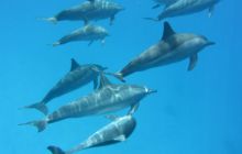 Zdjęcia z wyjazdu Sudan i Dubaj