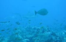 Zdjęcia z wyjazdu Sudan i Dubaj