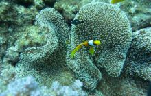 Zdjęcia z wyjazdu Sudan i Dubaj