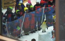 Zdjęcia z wyjazdu Sudan i Dubaj