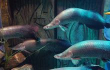 Zdjęcia z wyjazdu Sudan i Dubaj