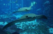 Zdjęcia z wyjazdu Sudan i Dubaj