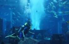 Zdjęcia z wyjazdu Sudan i Dubaj