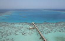 Zdjęcia z wyjazdu Sudan i Dubaj