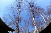 Piaśnica - marzec 2007