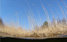 Piaśnica - marzec 2007