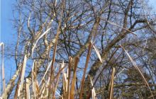 Piaśnica - marzec 2007