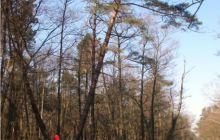 Piaśnica - marzec 2007