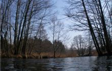 Piaśnica - marzec 2007