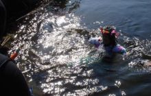 Piaśnica - marzec 2007