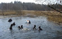 Piaśnica - marzec 2007