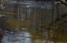 Piaśnica - marzec 2007