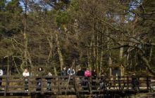 Piaśnica - marzec 2007