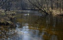 Piaśnica - marzec 2007