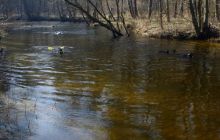 Piaśnica - marzec 2007