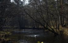 Piaśnica - marzec 2007