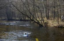 Piaśnica - marzec 2007