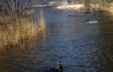 Piaśnica - marzec 2007