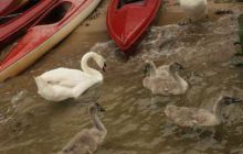 2007.06.26 kurs nurkowy OWD