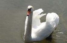 Rozpoczęcie Sezonu - Kwiecień 2008