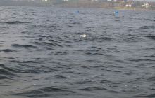 Zakończenie Sezonu - Listopad 2008