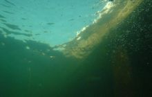 Wukskniki - Styczeń 2004